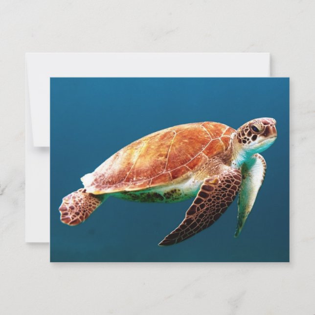 Vacker Grönt Sea Turtle Kort (Framsida)
