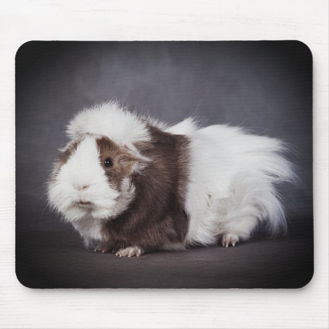 Vacker Guinea Gris, Mouse Pad Musmatta (Framsidan)