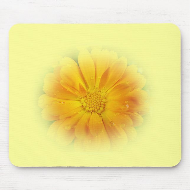 vacker gul margueritblomma musmatta (Framsidan)