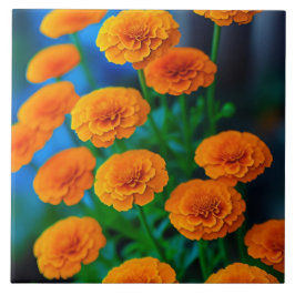 Vacker Gult Marigold Flowers Kakelplatta