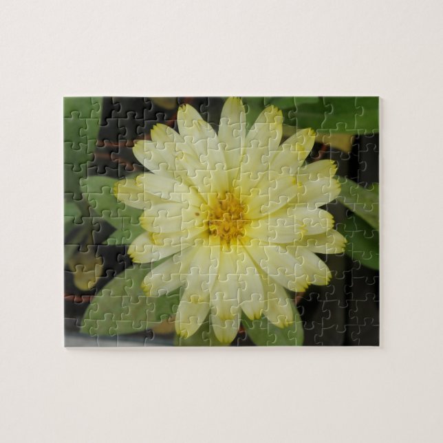 Vacker Gult Marigold Puzzle Pussel (Horisontell)