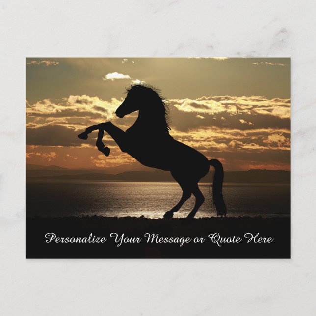 Vacker hallion Horse in Sunset Personalize Vykort (Framsida)