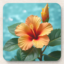 Vacker Hawaiian Hibiscus