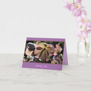 Vacker Hellbore Flower Birthday Kort
