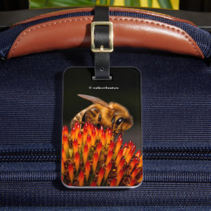 Vacker Honeybee Pollination a Coneflower Bagagebricka