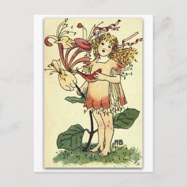 Vacker Honeysuckle av NELLIE BENSON Vykort (Framsida)