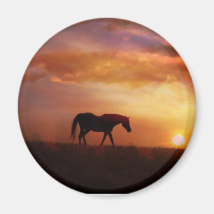 Vacker Horse and Sunset Horse Photography Magne Magnet