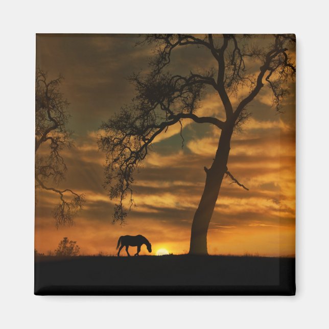 Vacker Horse Magnet (Framsidan)