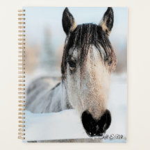 Vacker Horse Planner