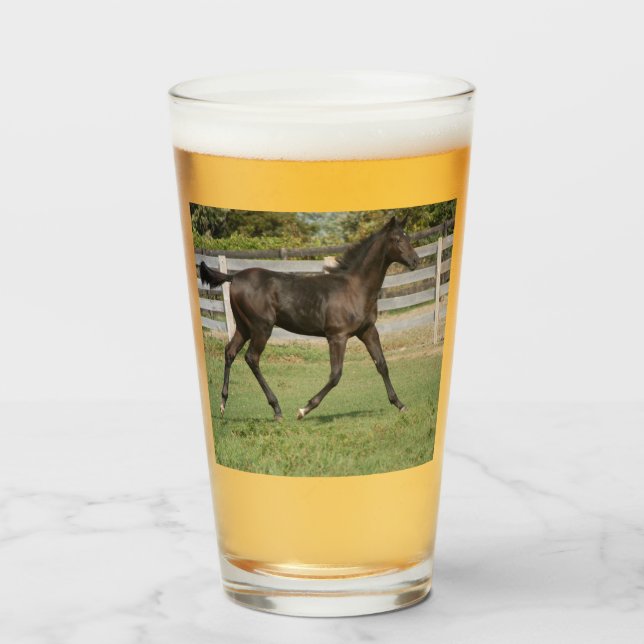 Vacker Horse Prancing i Fält Glaskopp (Framsida fylld)