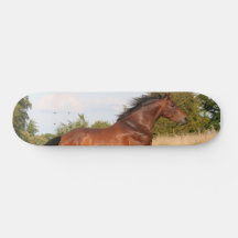 Vacker Horse Skateboard