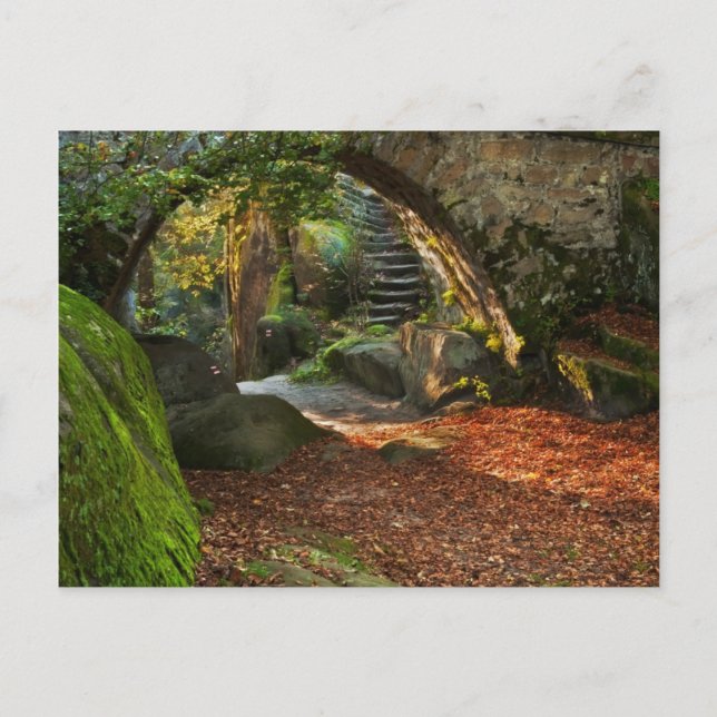 Vacker höstscen vykort (Framsida)