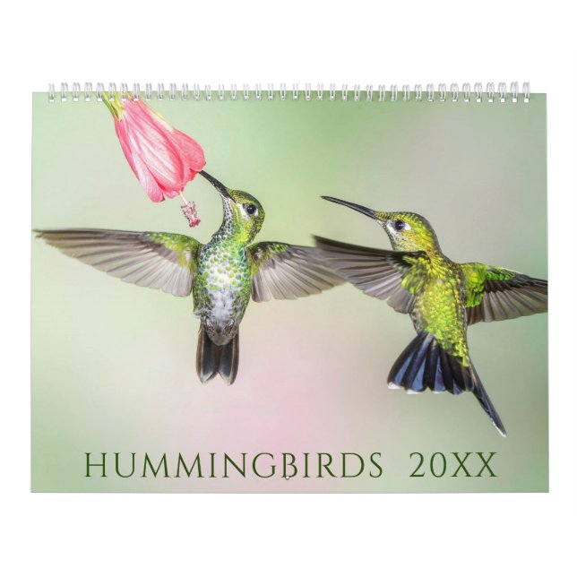 Vacker Hummingbird Fotokalender Kalender (Omslag)