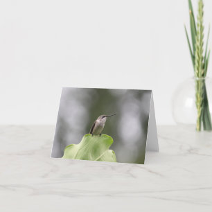 Vacker Hummingbird-hälsningskort Kort