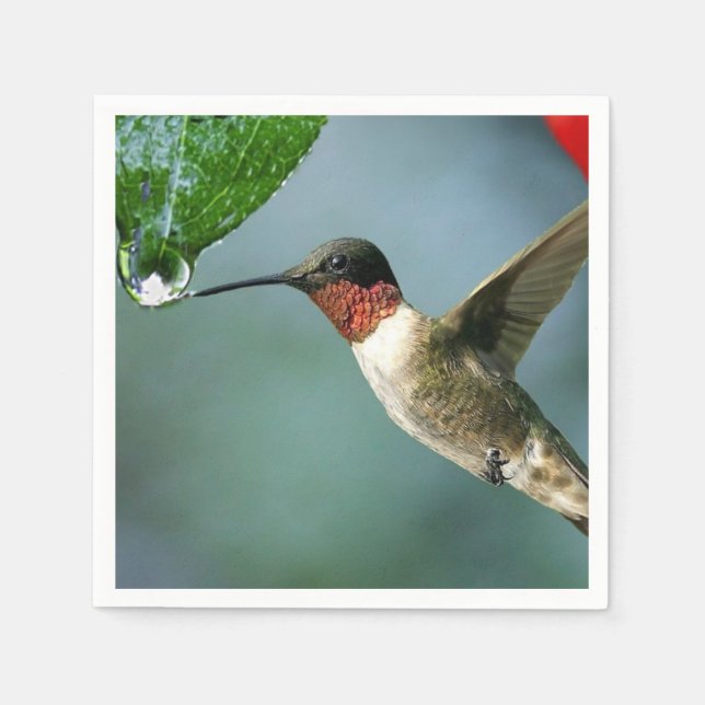 Vacker Hummingbird Nature Scenery Pappersservett (Framsidan)