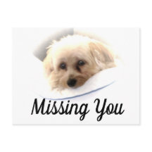 Vacker Hund Saknar Dig Vykort