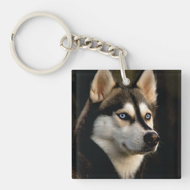 Vacker Husky Kastkudde (Framsidan)