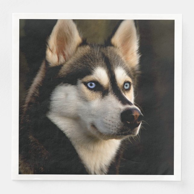 Vacker Husky Kastsydd Kudde Pappersservett (Framsida)