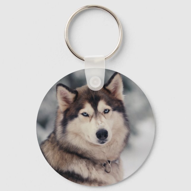 Vacker Husky på utsidan Nyckelring (Framsida)