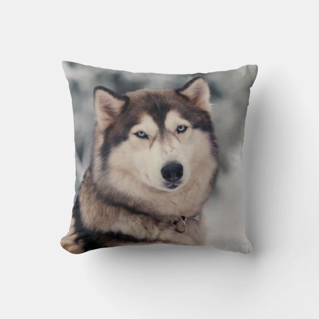 Vacker Husky utomhus Kudde (Framsida)