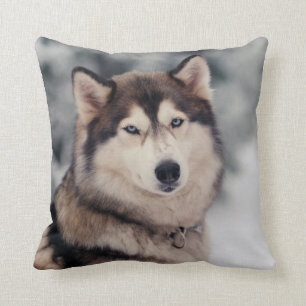 Vacker Husky utomhus Kudde