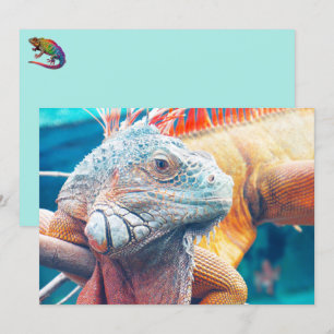 Vacker iguana-platta kort