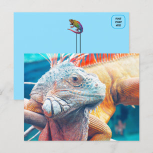 Vacker iguana-vykort vykort
