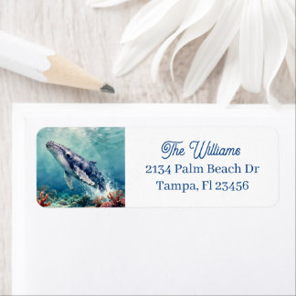 Vacker Impasto Valfisk Oceanisk Illustration Returadress Etikett