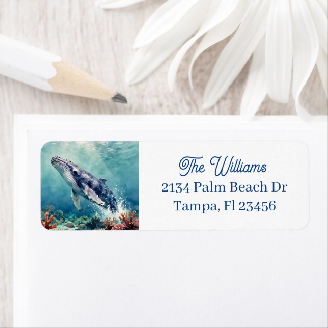 Vacker Impasto Valfisk Oceanisk Illustration Returadress Etikett (Insitu)