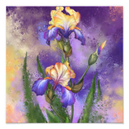 Vacker Iris Flower - Miged Painting Art Fototryck
