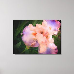 Vacker Iris på canvas
