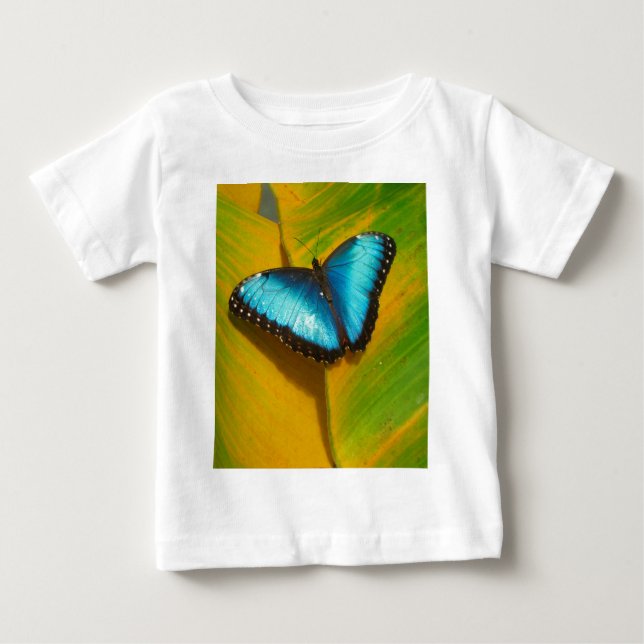 Vacker iriserande fjäril tee (Framsida)