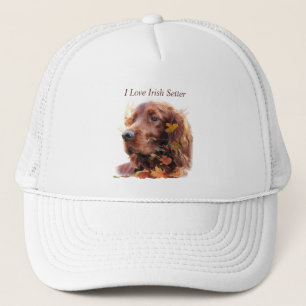 Vacker Irish Red Setter Keps