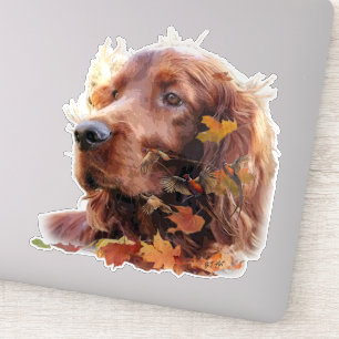 Vacker Irish Red Setter Klistermärken
