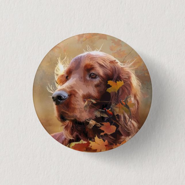 Vacker Irish Red Setter Knapp (Framsida)