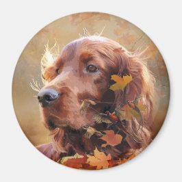 Vacker Irish Red Setter Magnet