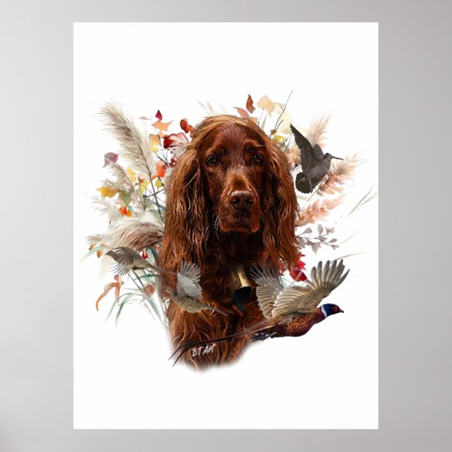 Vacker Irish Red Setter Poster (Framsidan)