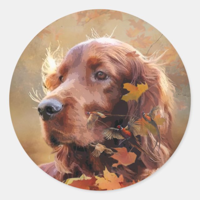 Vacker Irish Red Setter Runt Klistermärke (Framsida)