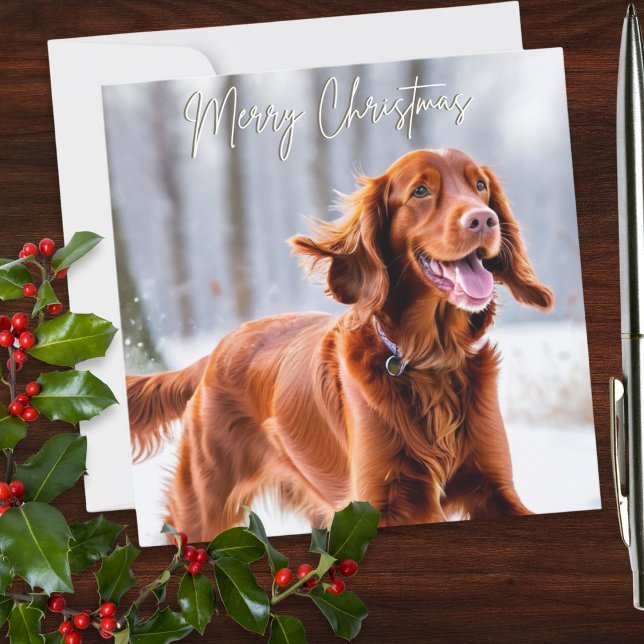 Vacker irländsk röd setter hundras jul julkort (An elegant personalized Christmas card with picture of an Irish Red Setter dog in the winter snow)