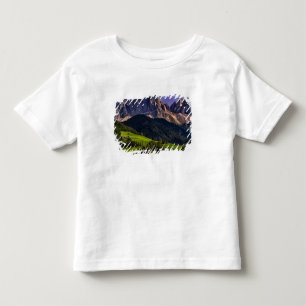 Vacker isolerad enslig kyrka St Maddalena T-shirt
