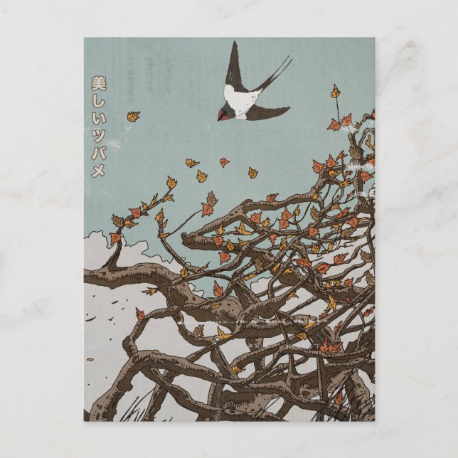 Vacker japansk svala  vykort (Framsida)