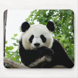 Vacker jättepanda musmattor