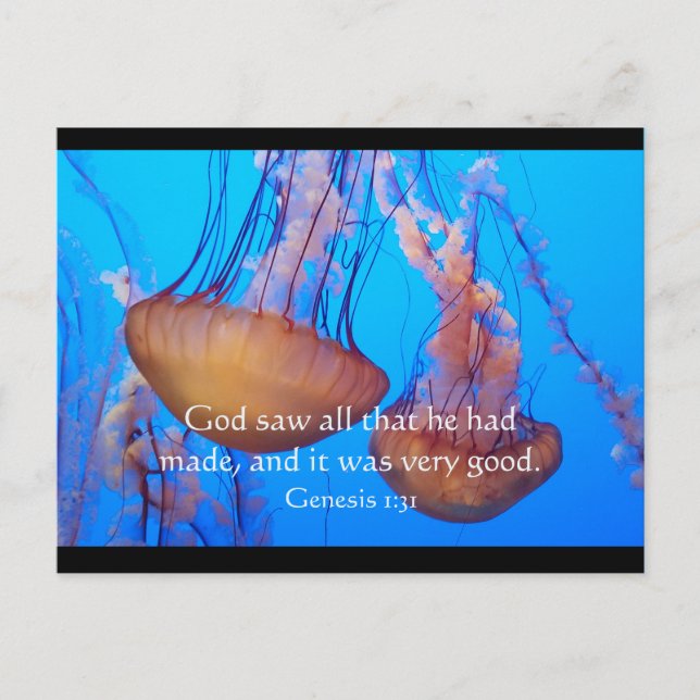 Vacker jellyfish Bible Verse Postcard Vykort (Framsida)