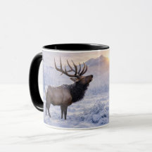 Vacker julhelg älg i snö