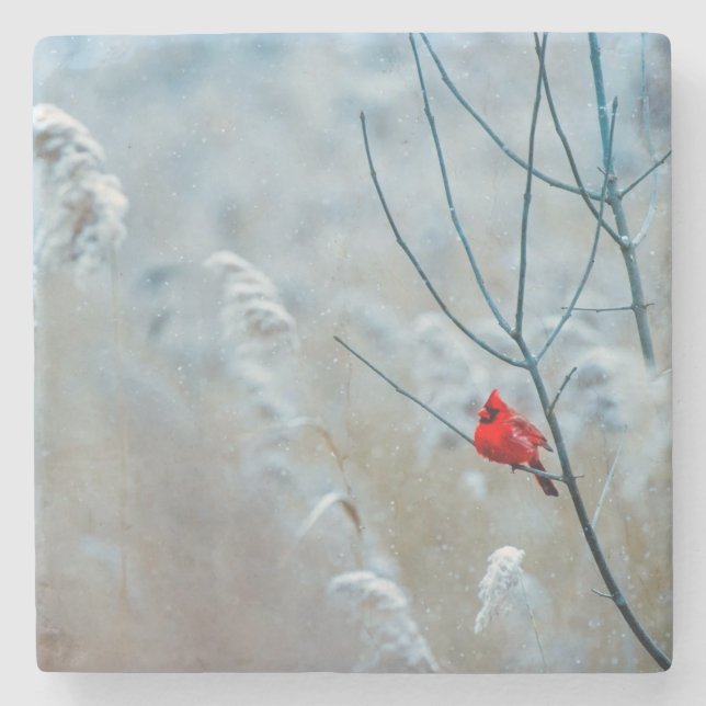 Vacker Kardinal i Snö Stenunderlägg (Framsidan)