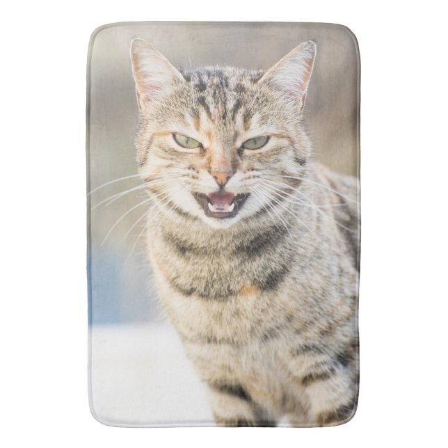 Vacker katt badrumsmatta (Framsidan (Vertikal))