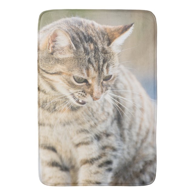 Vacker katt badrumsmatta (Framsidan (Vertikal))