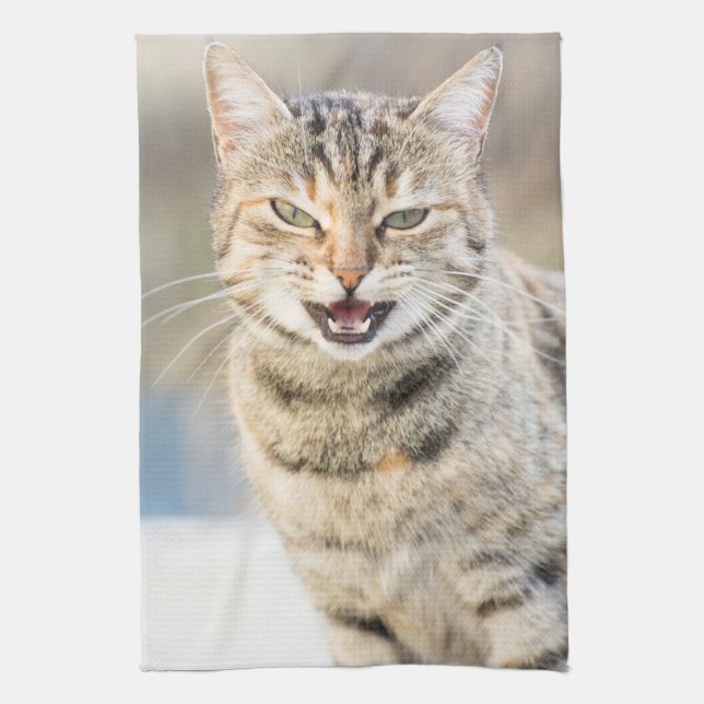 Vacker katt kökshandduk (Vertikal)