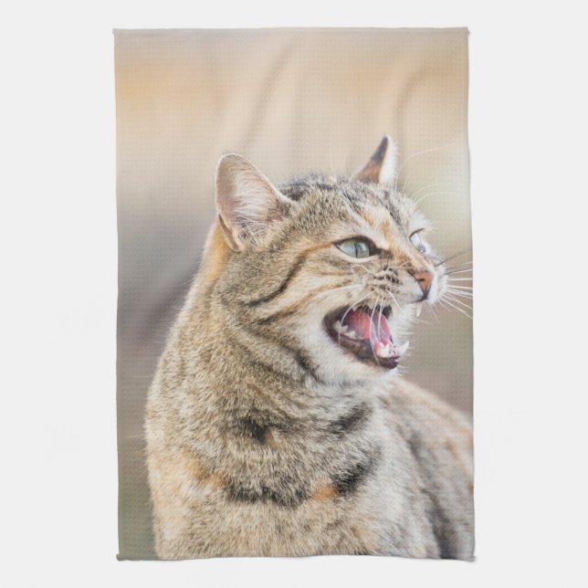 Vacker katt kökshandduk (Vertikal)