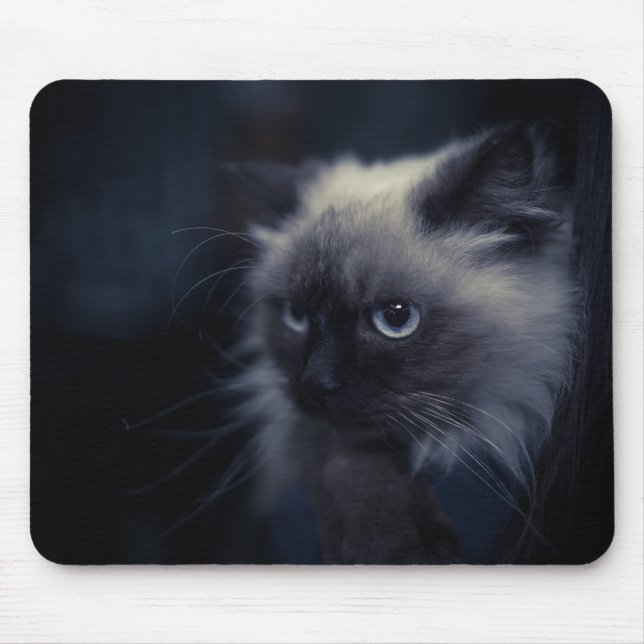 Vacker katt musmatta (Framsidan)
